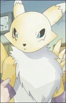 Renamon