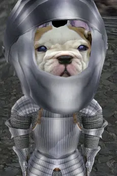 Armor Dog