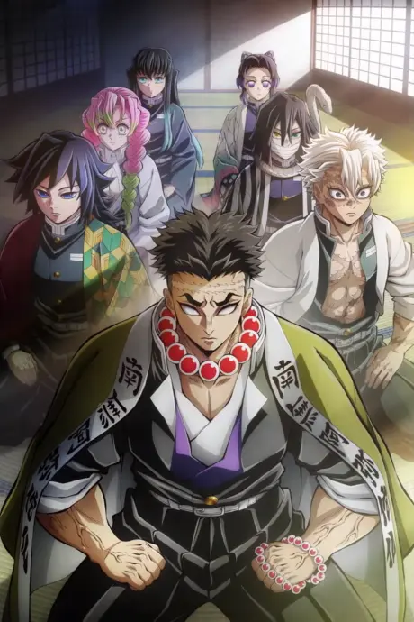 Anime - Demon Slayer: Kimetsu no Yaiba Hashira Training Arc