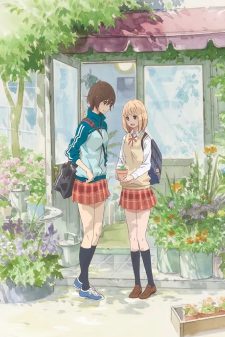 Anime - Kase-san and Morning Glories