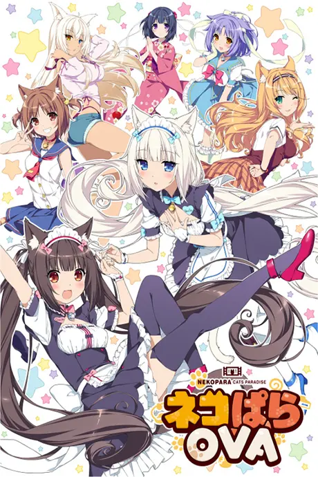 Anime - Nekopara OVA