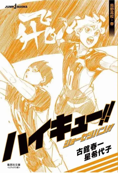 Anime - Haikyuu!! Shousetsuban!! Karasuno Koukou