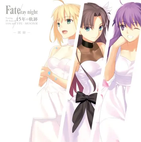 Anime - Fate/stay night 15-nen no Kiseki TYPE-MOON Ten