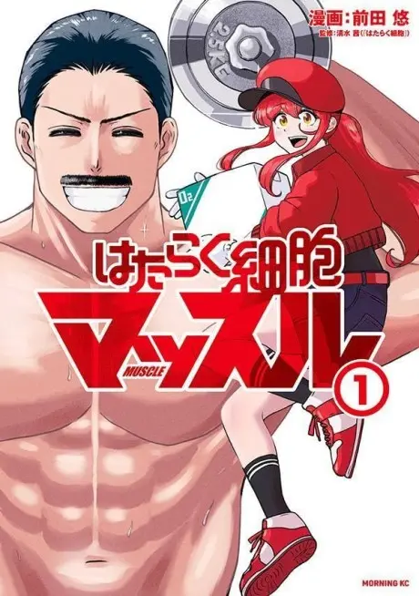 Anime - Hataraku Saibou Muscle