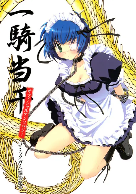 Anime - Ikkitousen Official Anthology