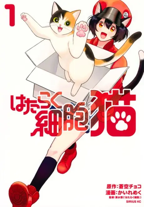 Anime - Hataraku Saibou Neko