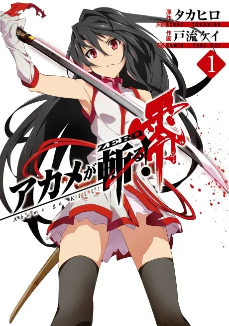 Anime - Akame ga KILL! ZERO