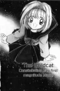 Anime - The Wildcat Constellation