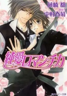 Anime - Junai Romantica